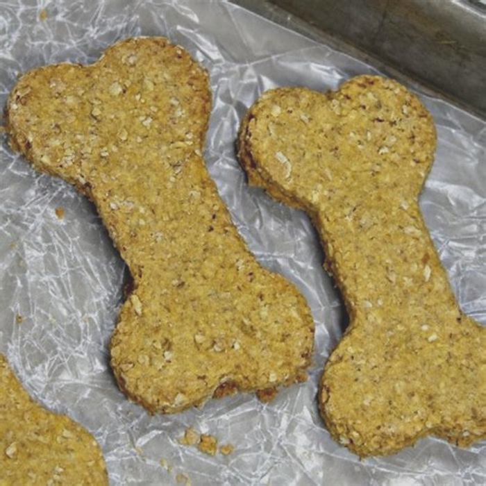 easy homemade dog treats with oatmeal