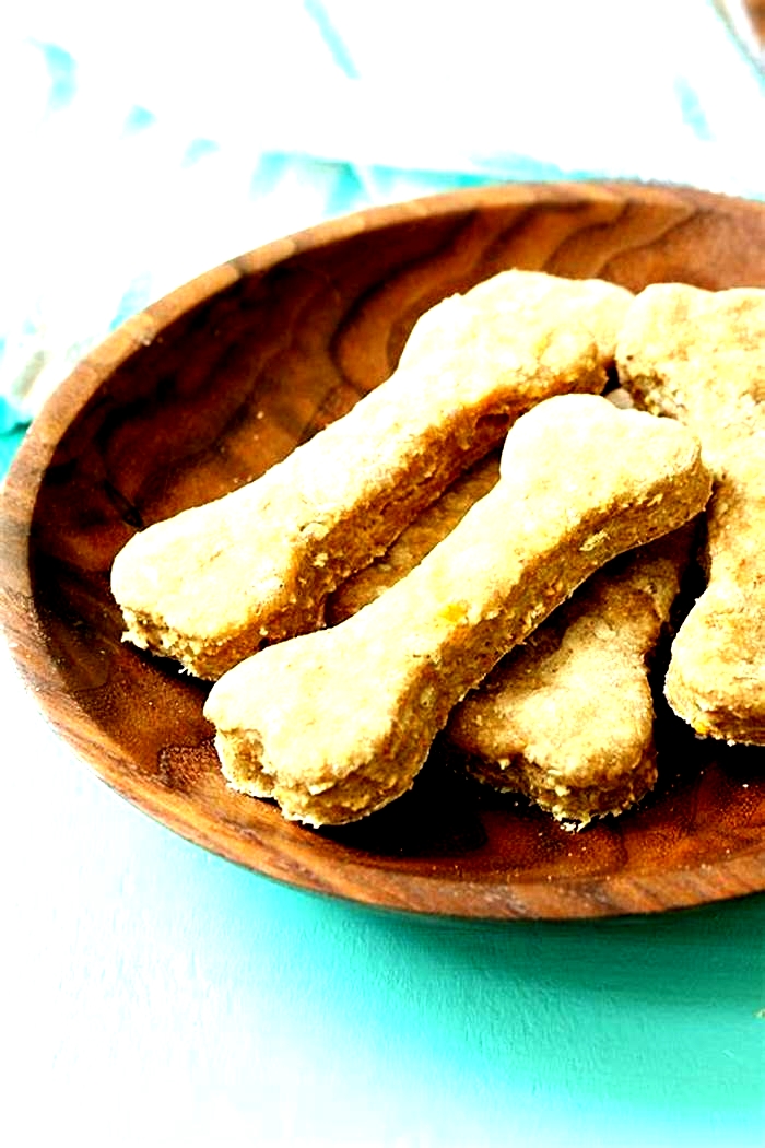 easy homemade dog treats with oats