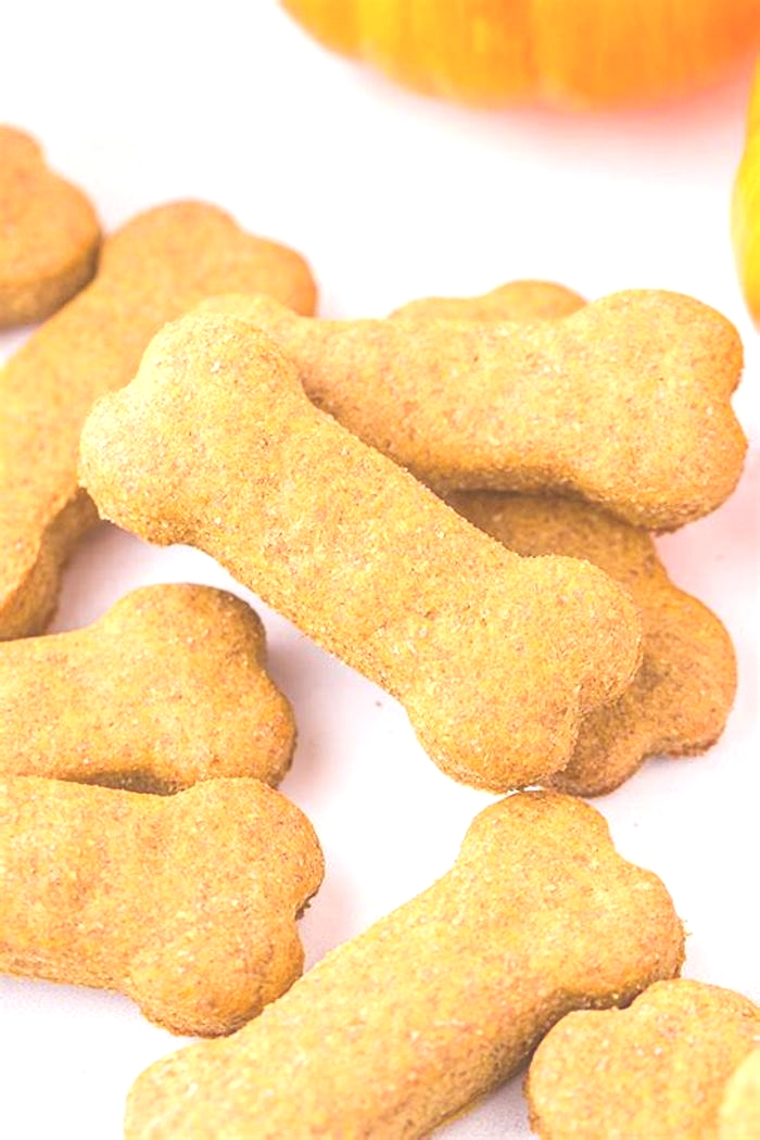 easy homemade dog treats with pumpkin