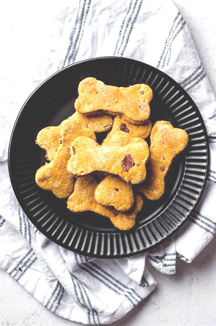 easy homemade dog treats without peanut butter or pumpkin