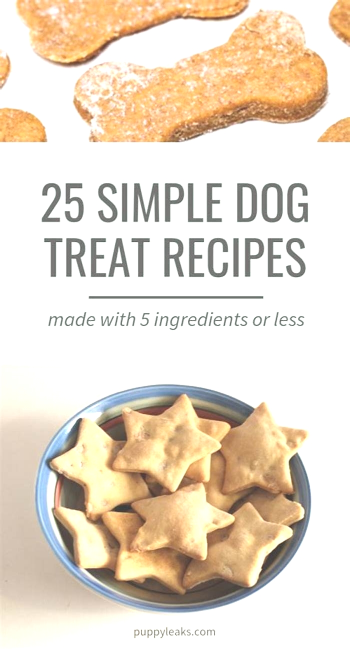 easy homemade dog treats without peanut butter