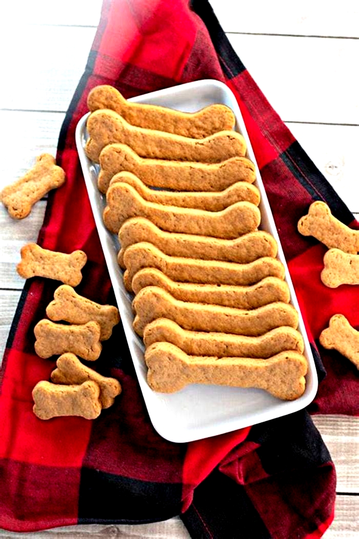 easy quick homemade dog treats