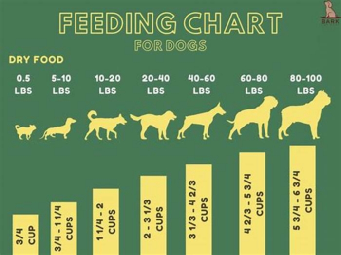 feeding chart for dogs homemade food