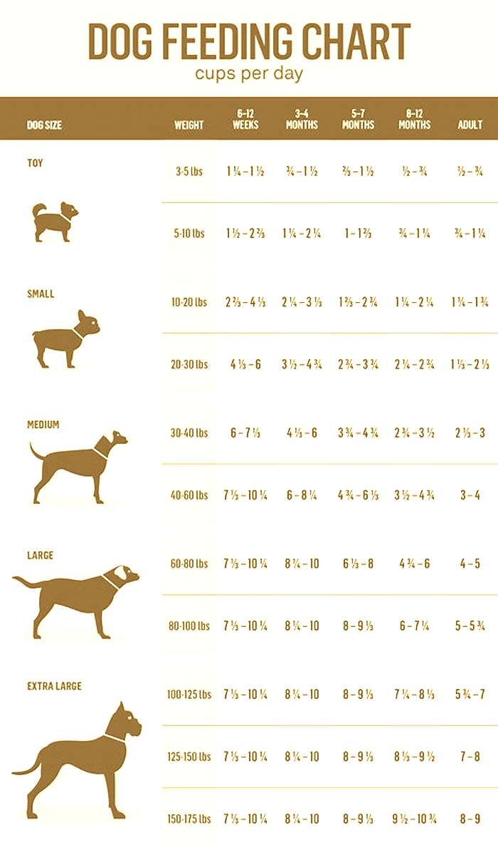 feeding chart for homemade dog food