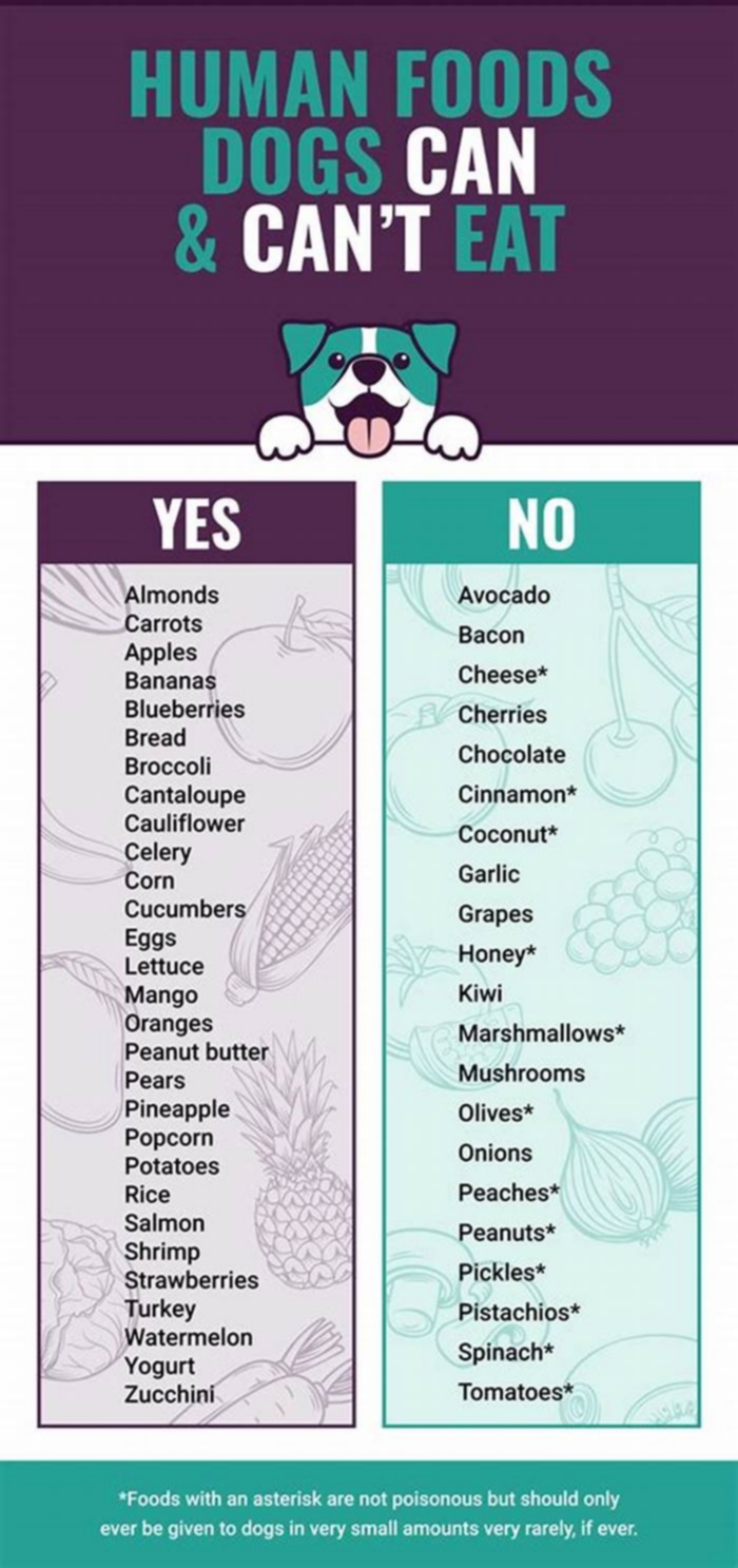 foods dogs can't eat chart