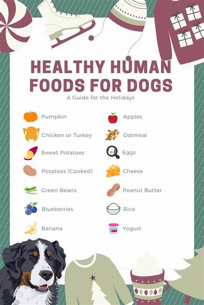 good human food dogs can eat