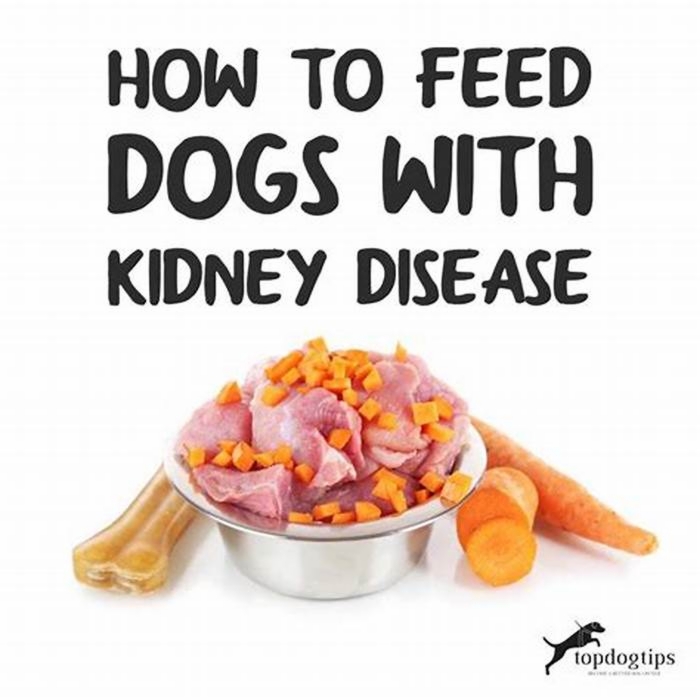 good human food for dogs with kidney disease