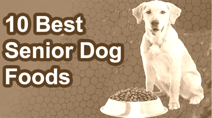 good human food for senior dogs