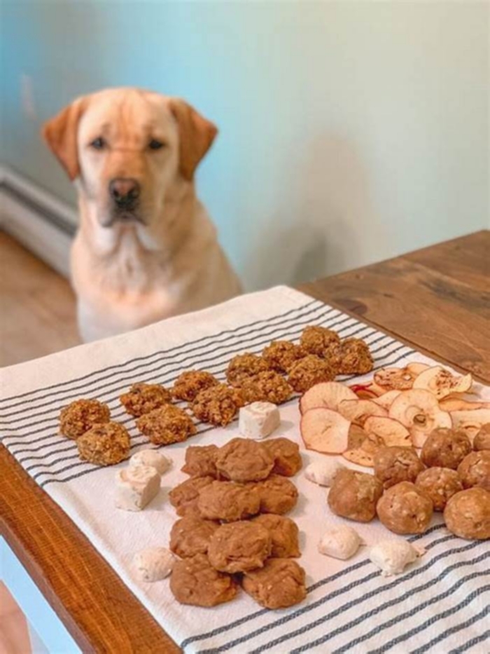 healthy all natural dog treats