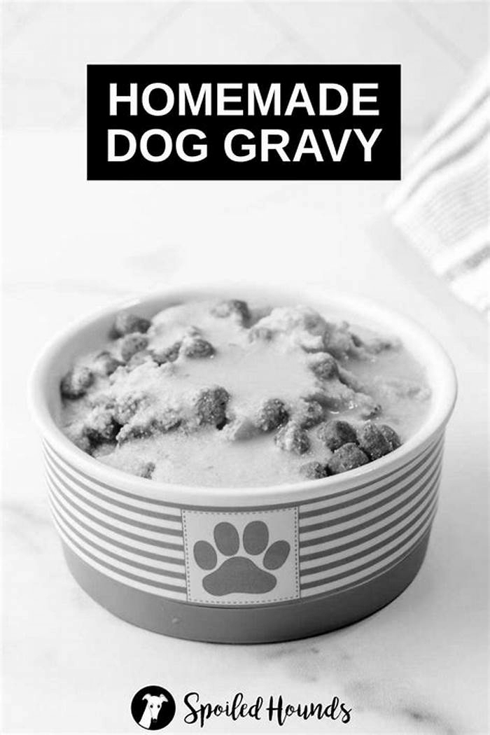 healthy dog food gravy recipe