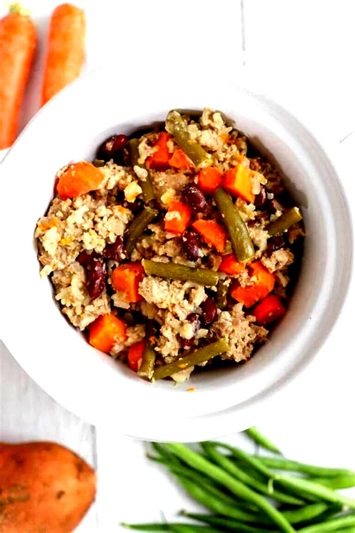 healthy dog food recipes crock pot