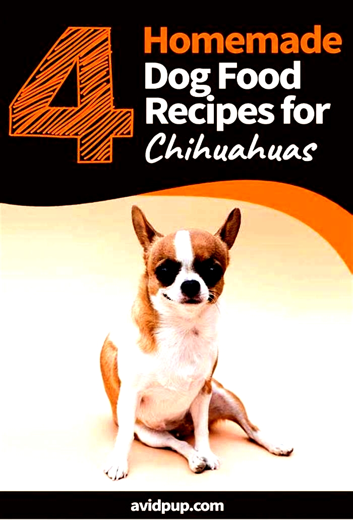 healthy dog food recipes for chihuahuas