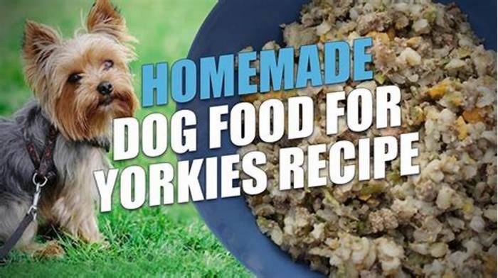 healthy dog food recipes for yorkies