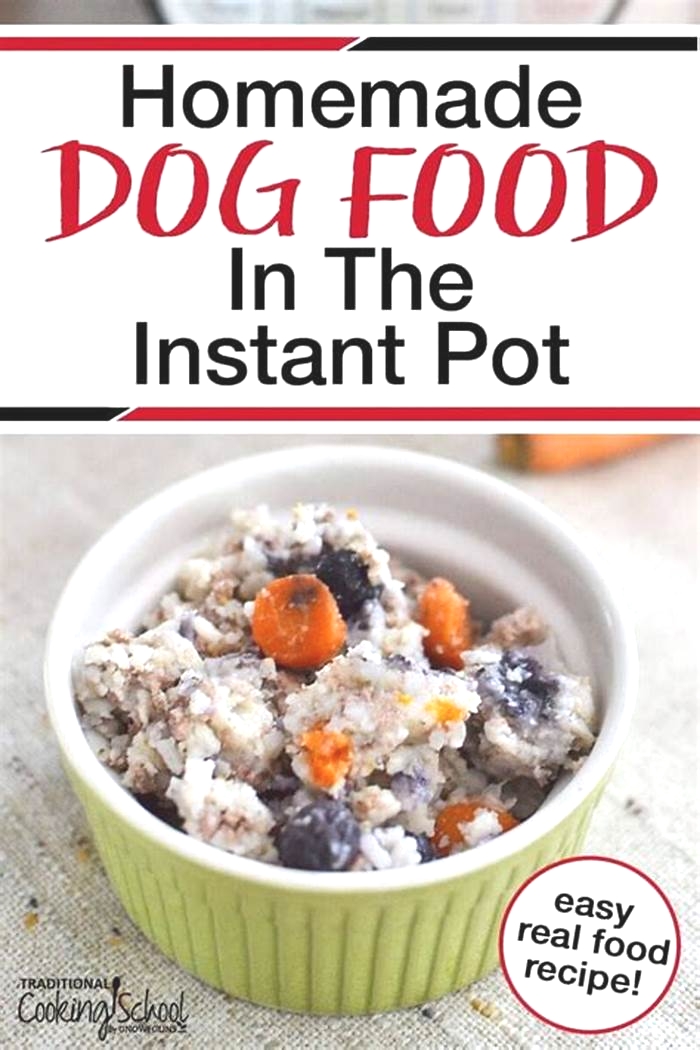 healthy dog food recipes instant pot