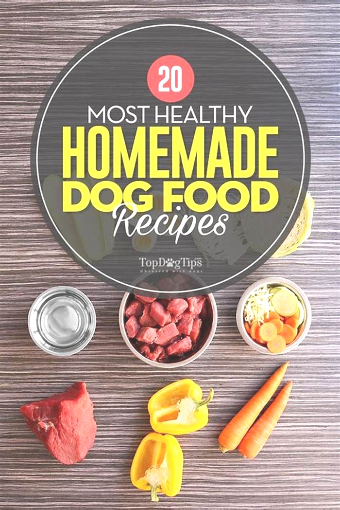 healthy food for dogs homemade