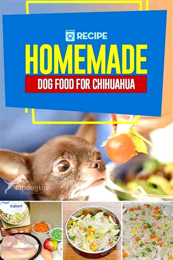 healthy homemade dog food for chihuahuas