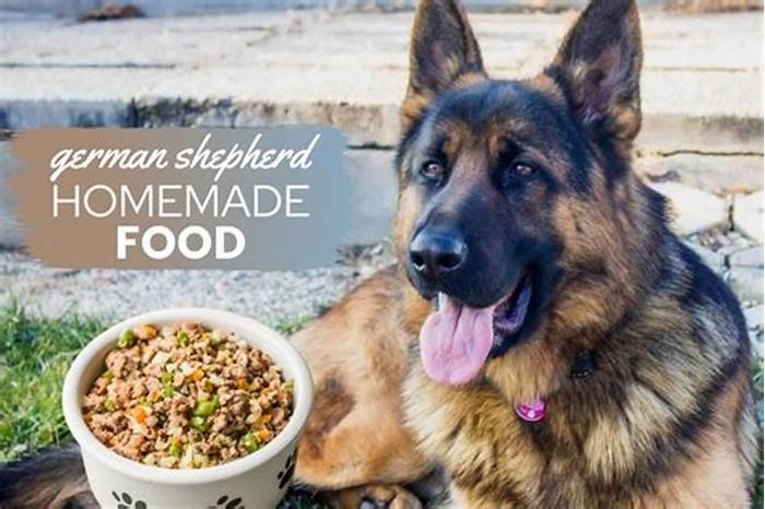 healthy homemade dog food for german shepherd