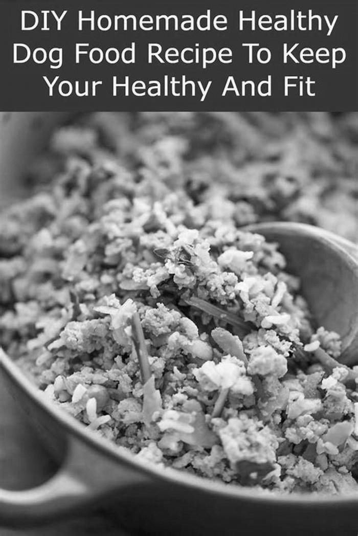 healthy homemade dog food for older dogs