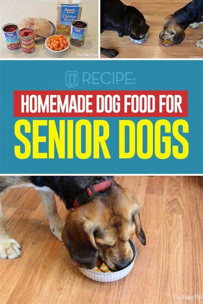 healthy homemade dog food for senior dogs