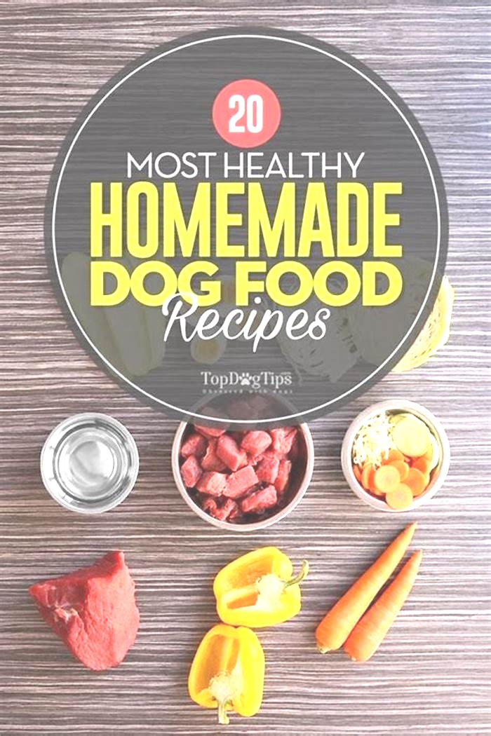 healthy homemade dog food ideas