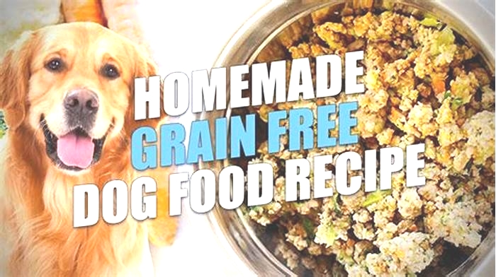 healthy homemade dog food recipes grain free