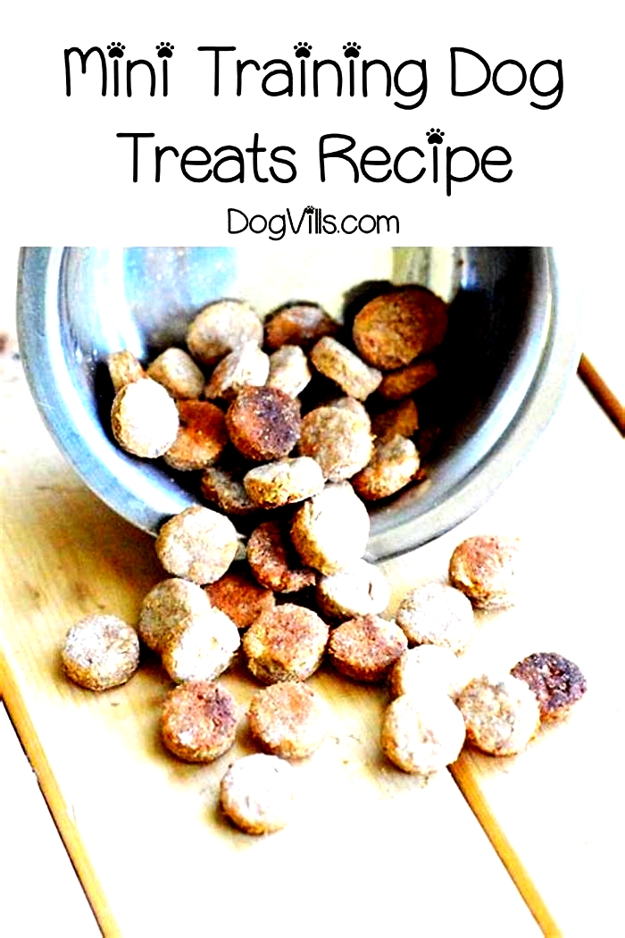 healthy homemade dog training treats