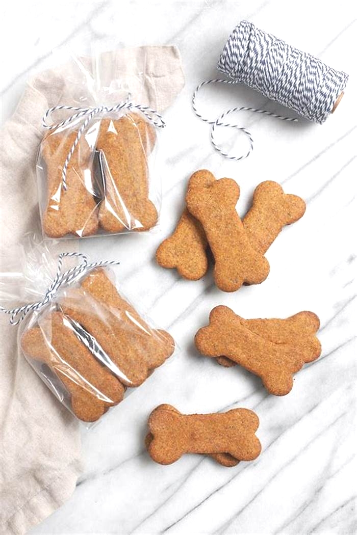 healthy homemade dog treats for dogs