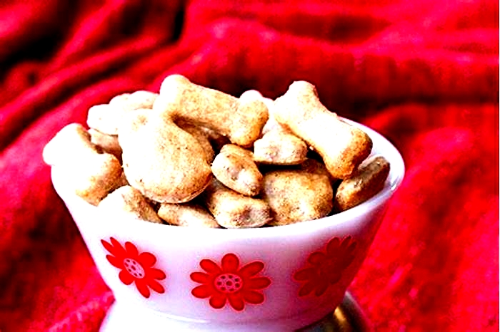 healthy homemade dog treats for sensitive stomach