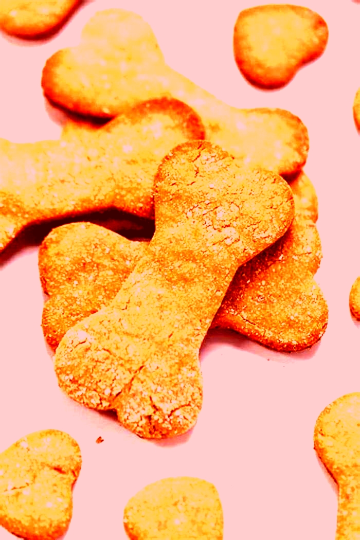 healthy homemade dog treats grain free