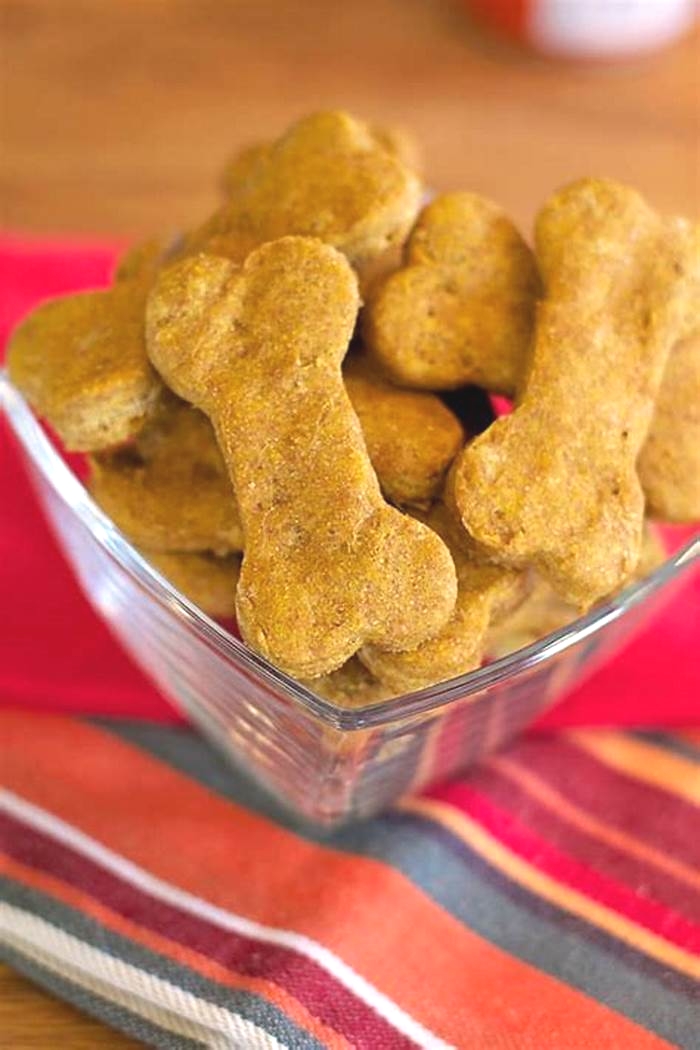 healthy homemade dog treats pumpkin