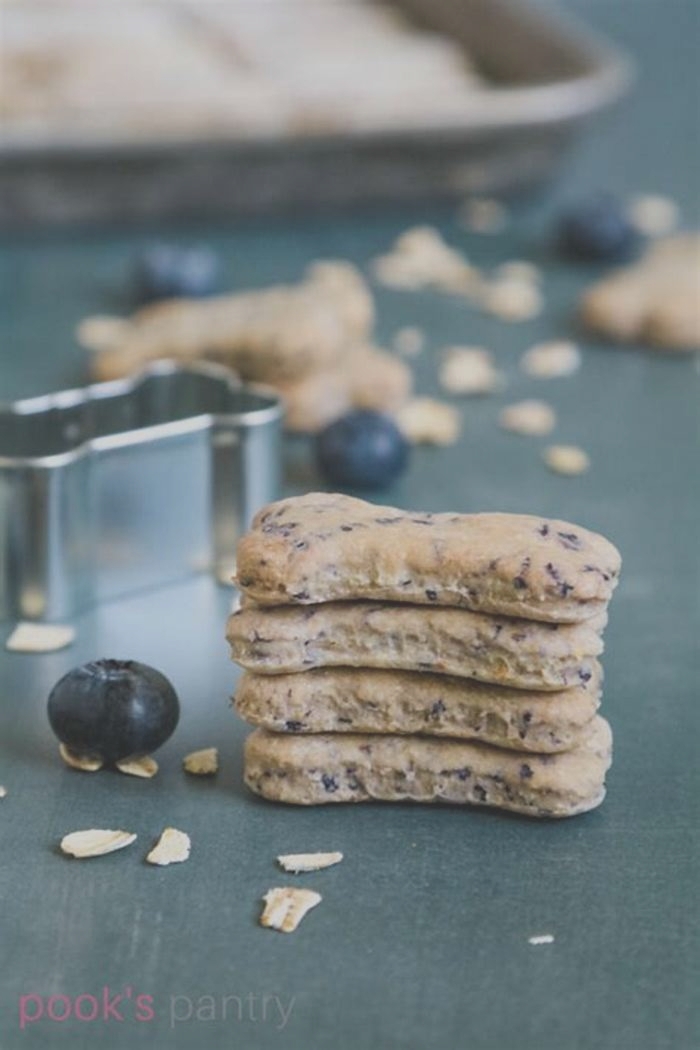 healthy homemade dog treats with blueberries