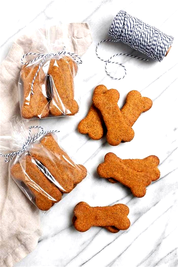 healthy homemade dog treats with meat