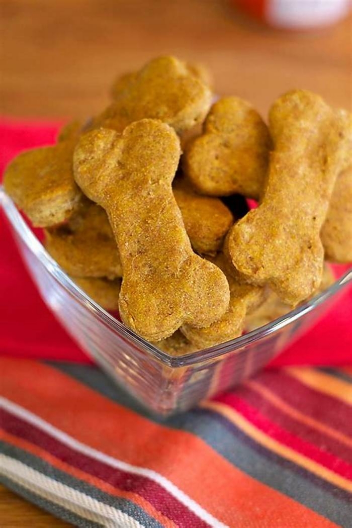 healthy homemade dog treats with pumpkin