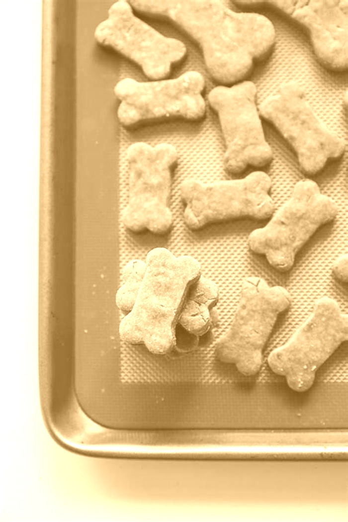 healthy homemade dog treats without flour