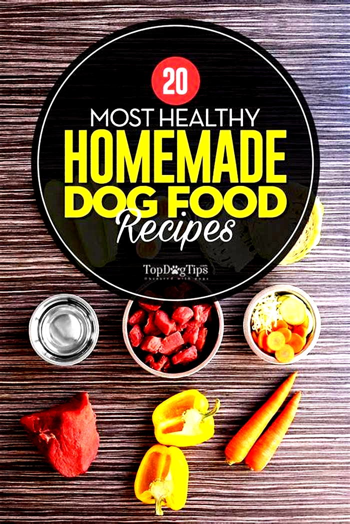 healthy homemade food for dog