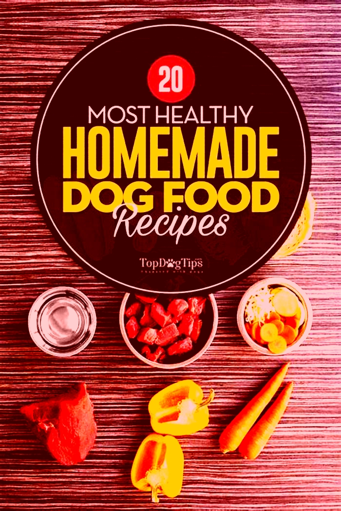 healthy homemade meals for dogs