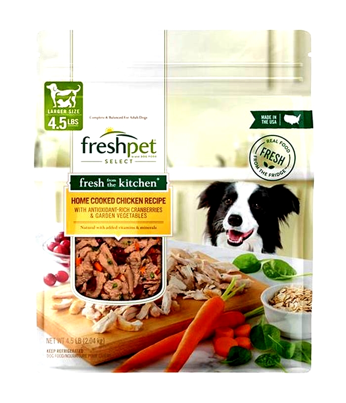 healthy natural foods for dogs