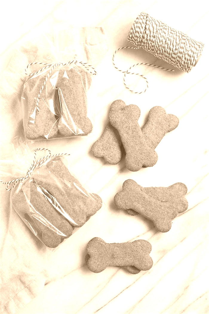 healthy natural homemade dog treats