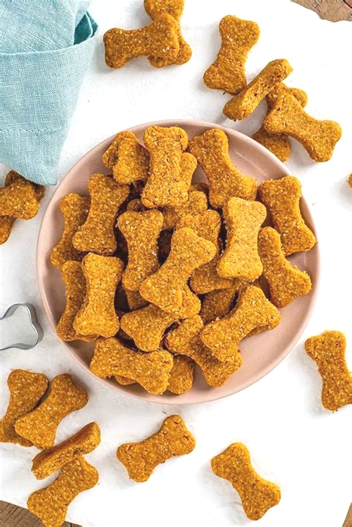 healthy no bake dog treats