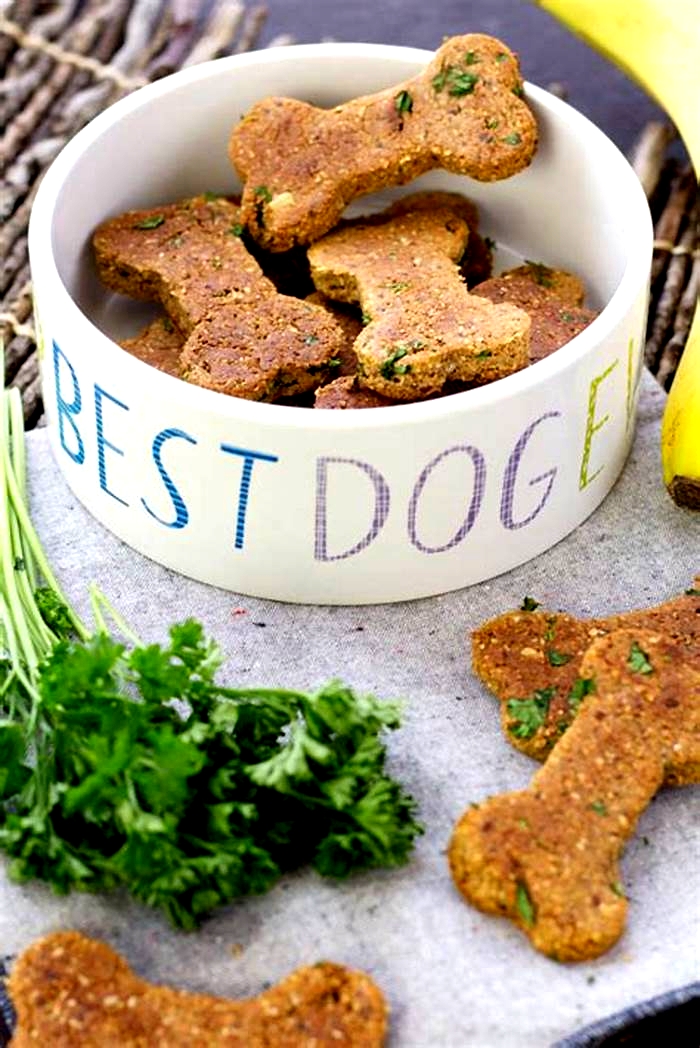 healthy organic dog treats recipe