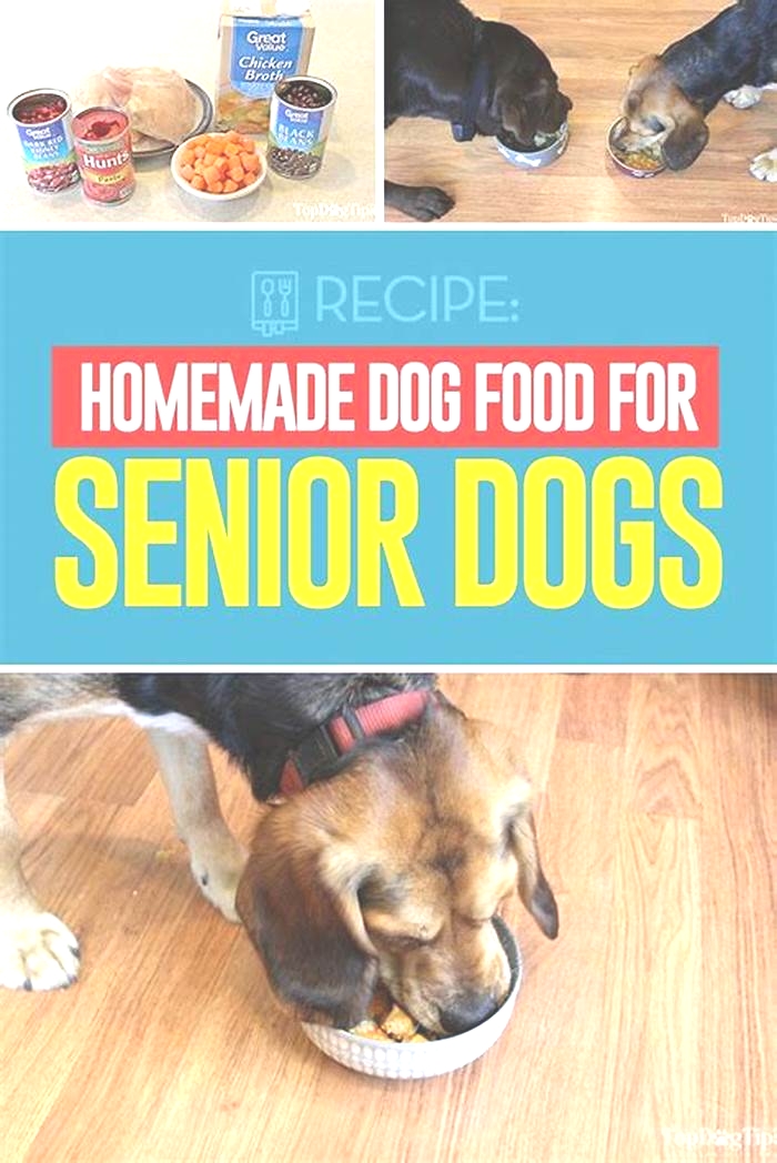 healthy senior dog food recipes