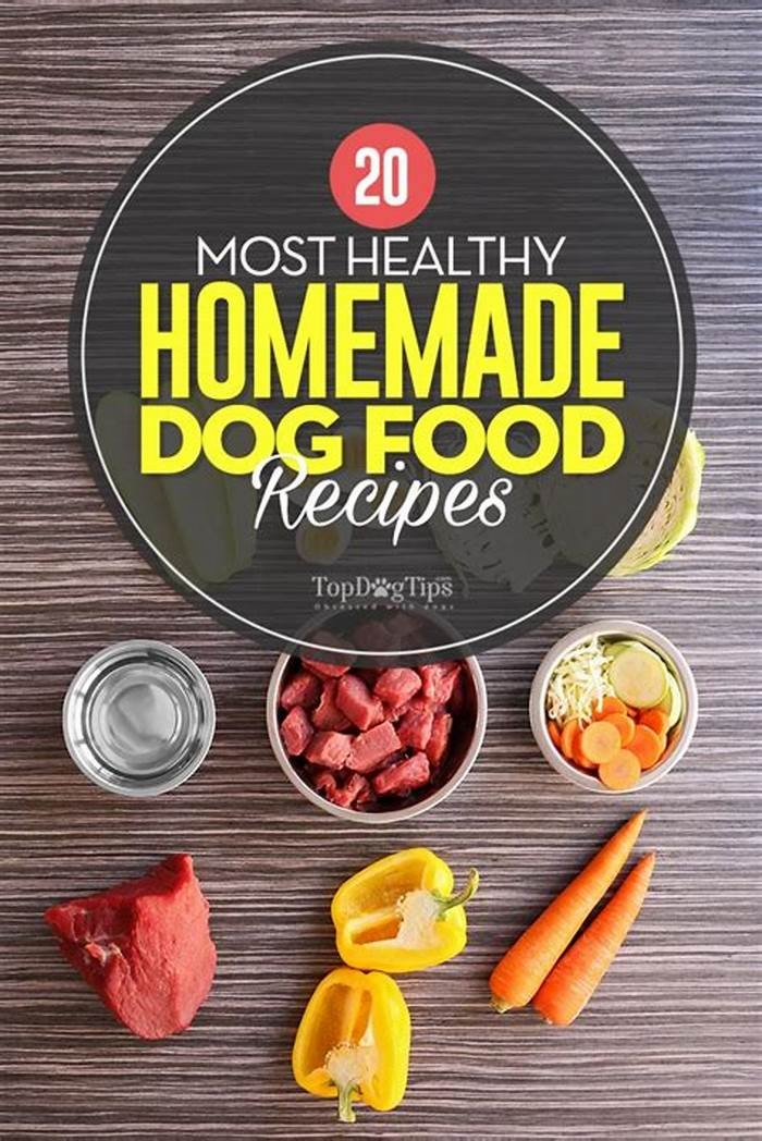 heart healthy homemade dog food