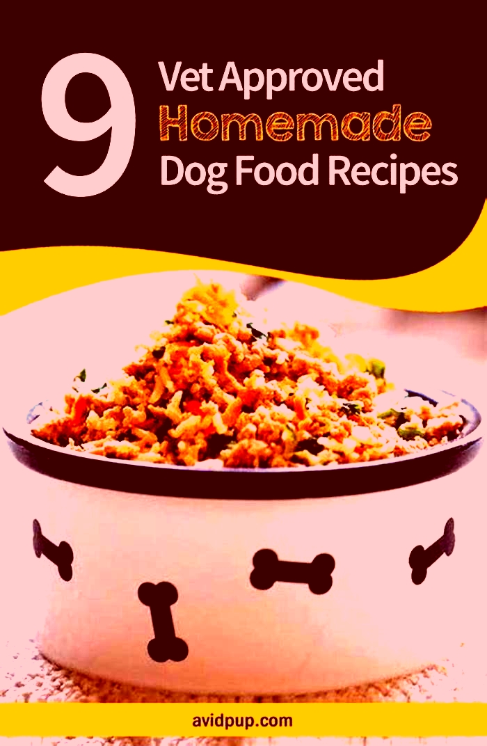 homemade diet dog food recipes vet approved