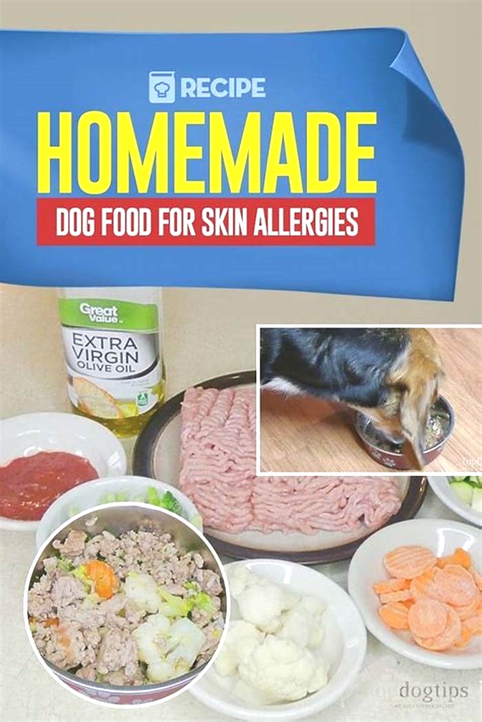 homemade diet for dog with allergies