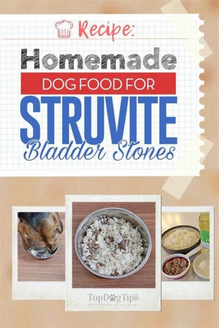 homemade diet for dog with bladder stones