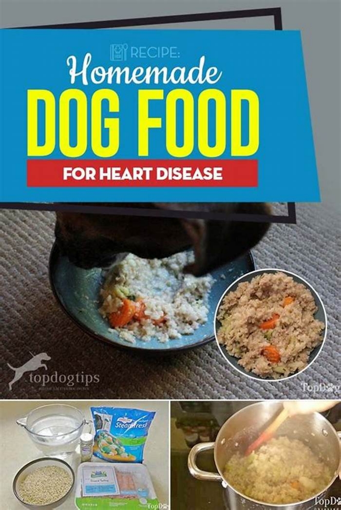 homemade diet for dog with enlarged heart