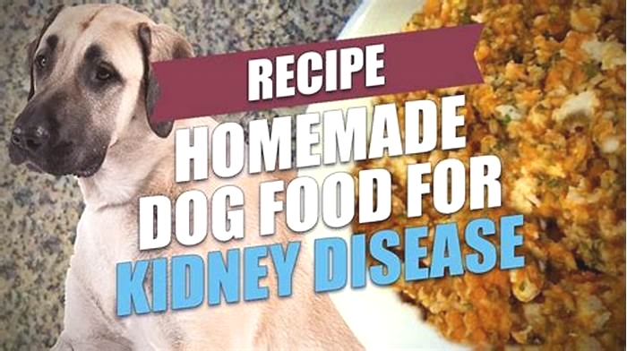 homemade diet for dog with kidney disease