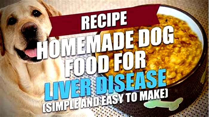 homemade diet for dog with liver disease