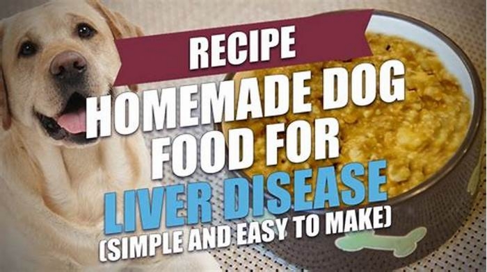 homemade diet for dog with liver shunt