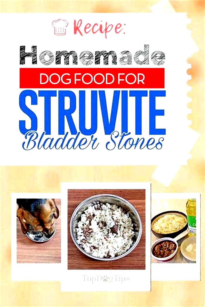 homemade diet for dog with struvite crystals